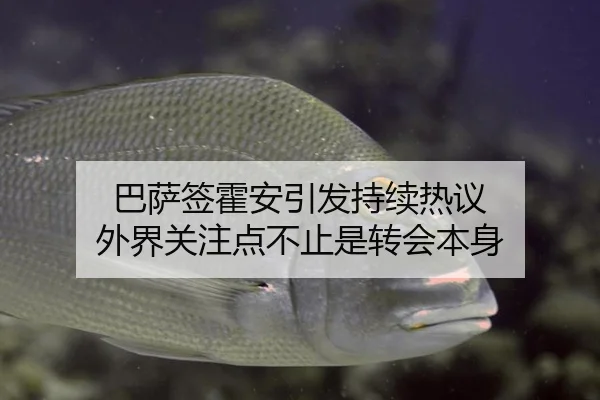 巴萨签霍安引发持续热议 外界关注点不止是转会本身 - ayx