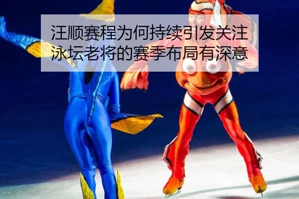 汪顺赛程为何持续引发关注 泳坛老将的赛季布局有深意